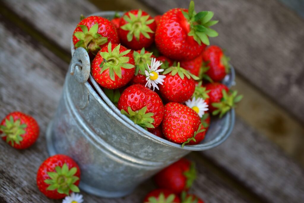 fragole in un secchio