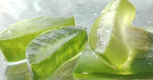 Aloe vera: tutti i benefici per capelli, pelle unghie e corpo