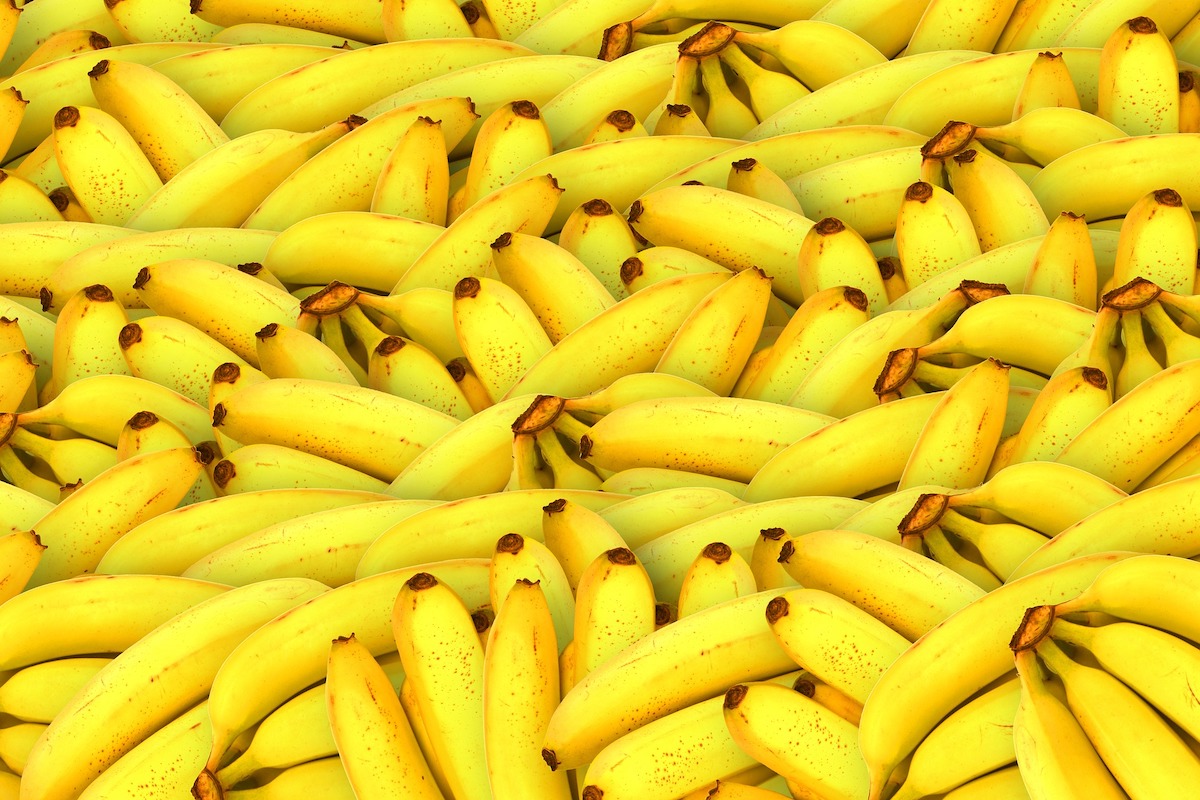 Insieme di banane