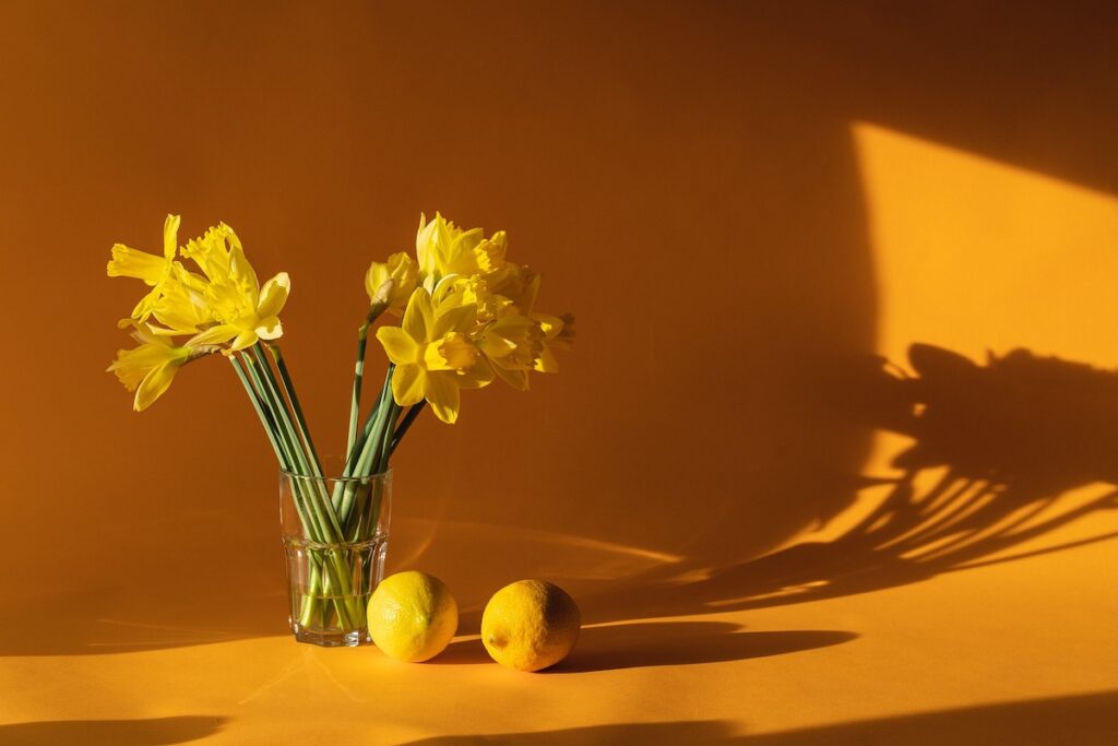 Narcisi e limoni