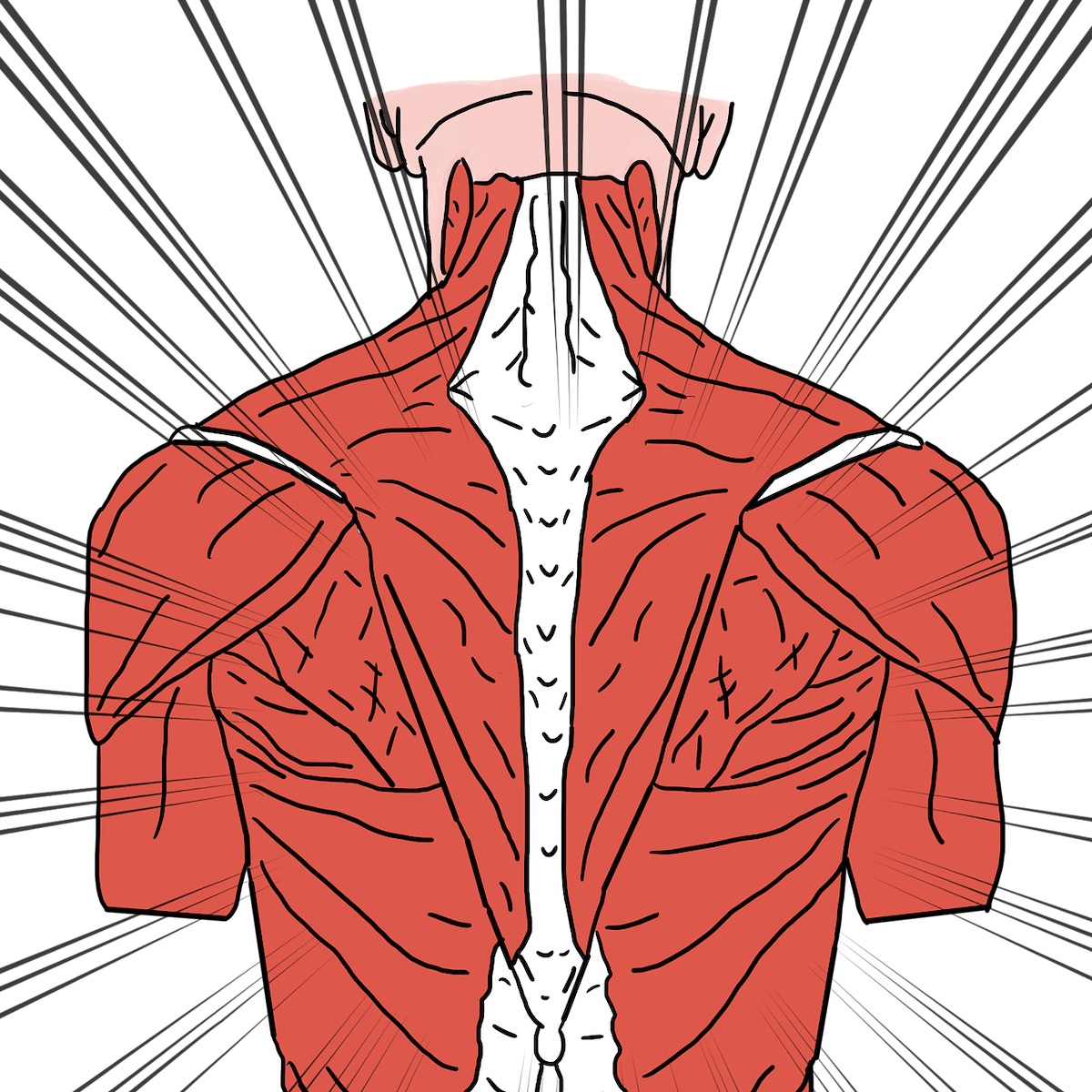 Spina dorsale