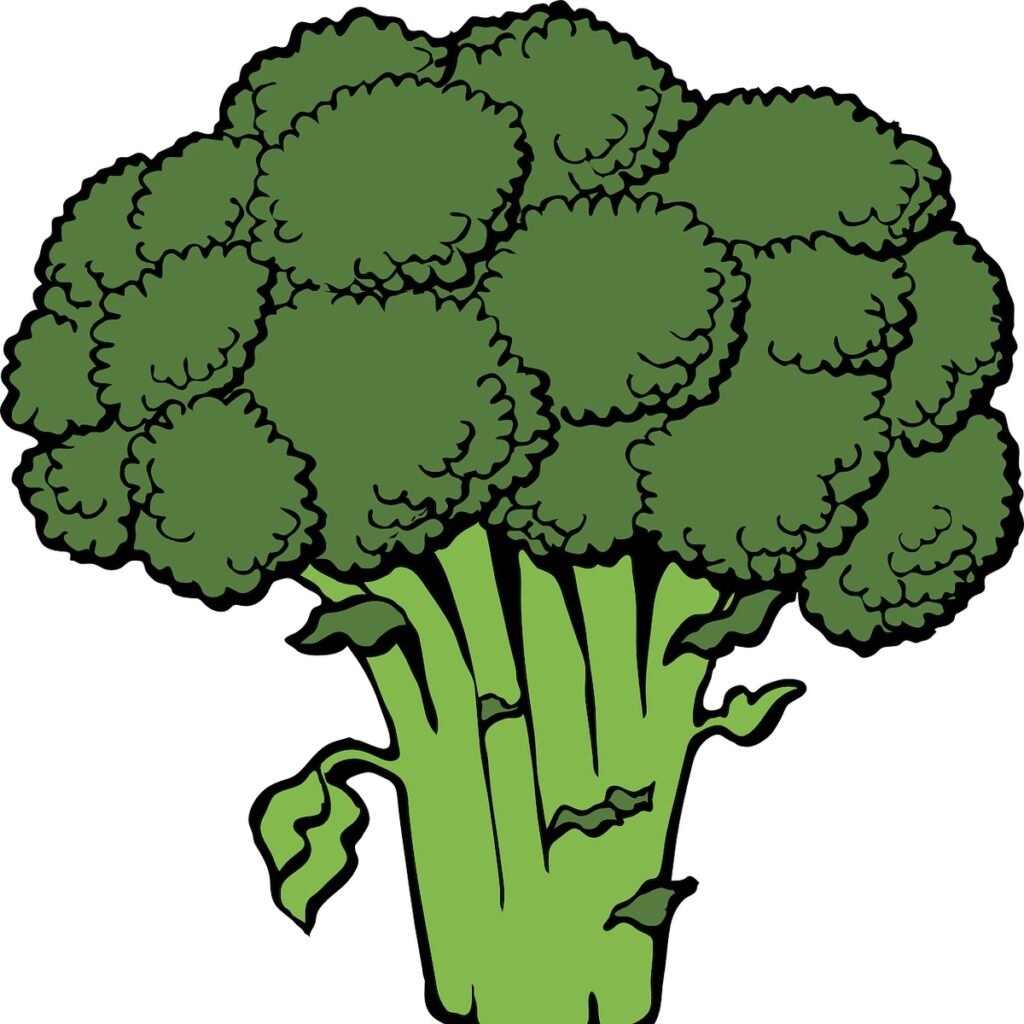 Rappresentazione broccoli