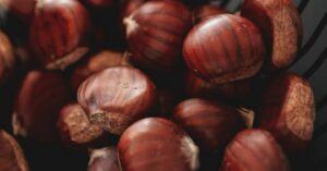 Decotto alle bucce di castagne per capelli luminosi