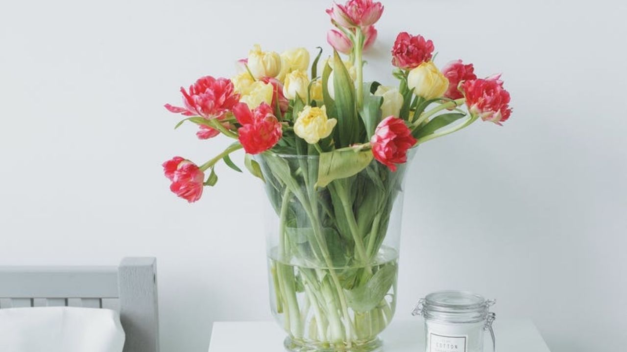 fiori in un vaso con acqua