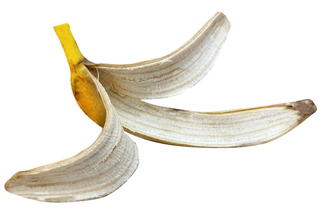 Banana involucro