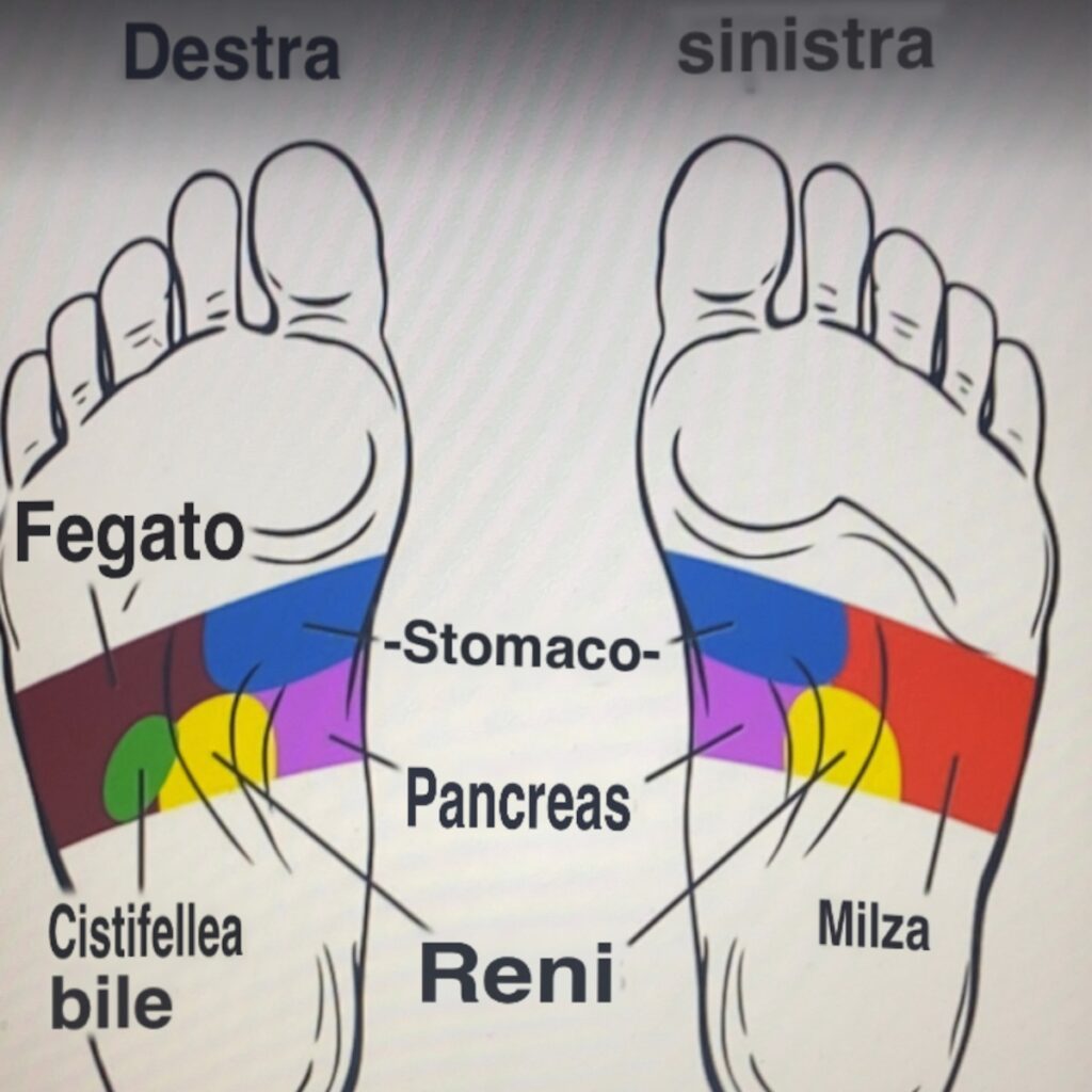 Piedi sinistro e destro