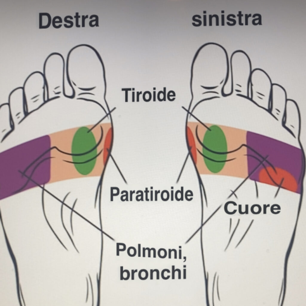 Piedi associati a organi