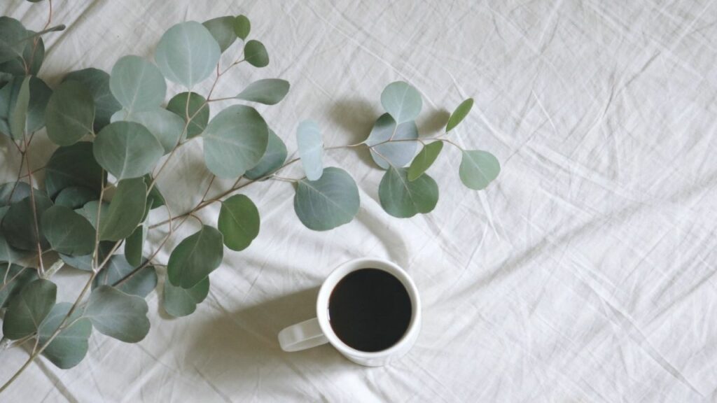eucalipto con caffè