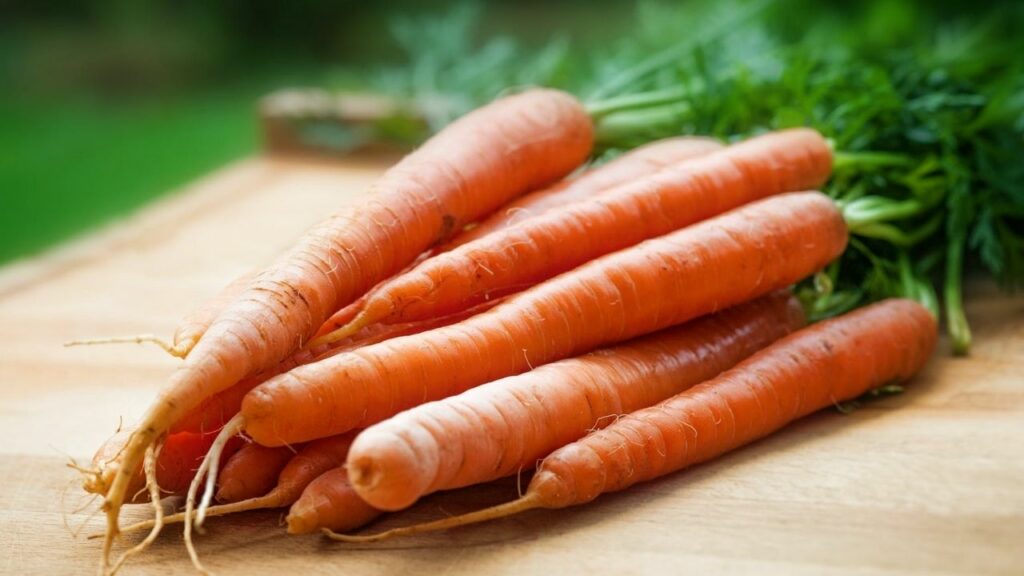 le carote sono buone per curare la vescica