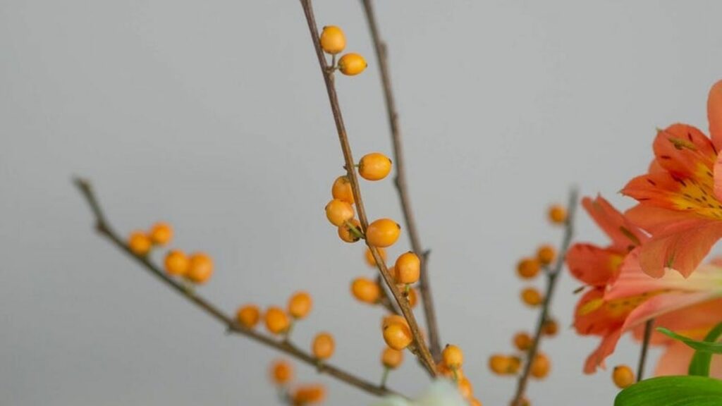 nespole e fiori