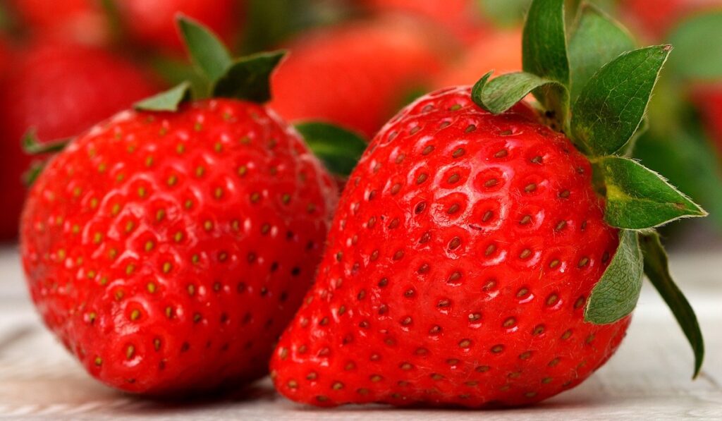 Fragole