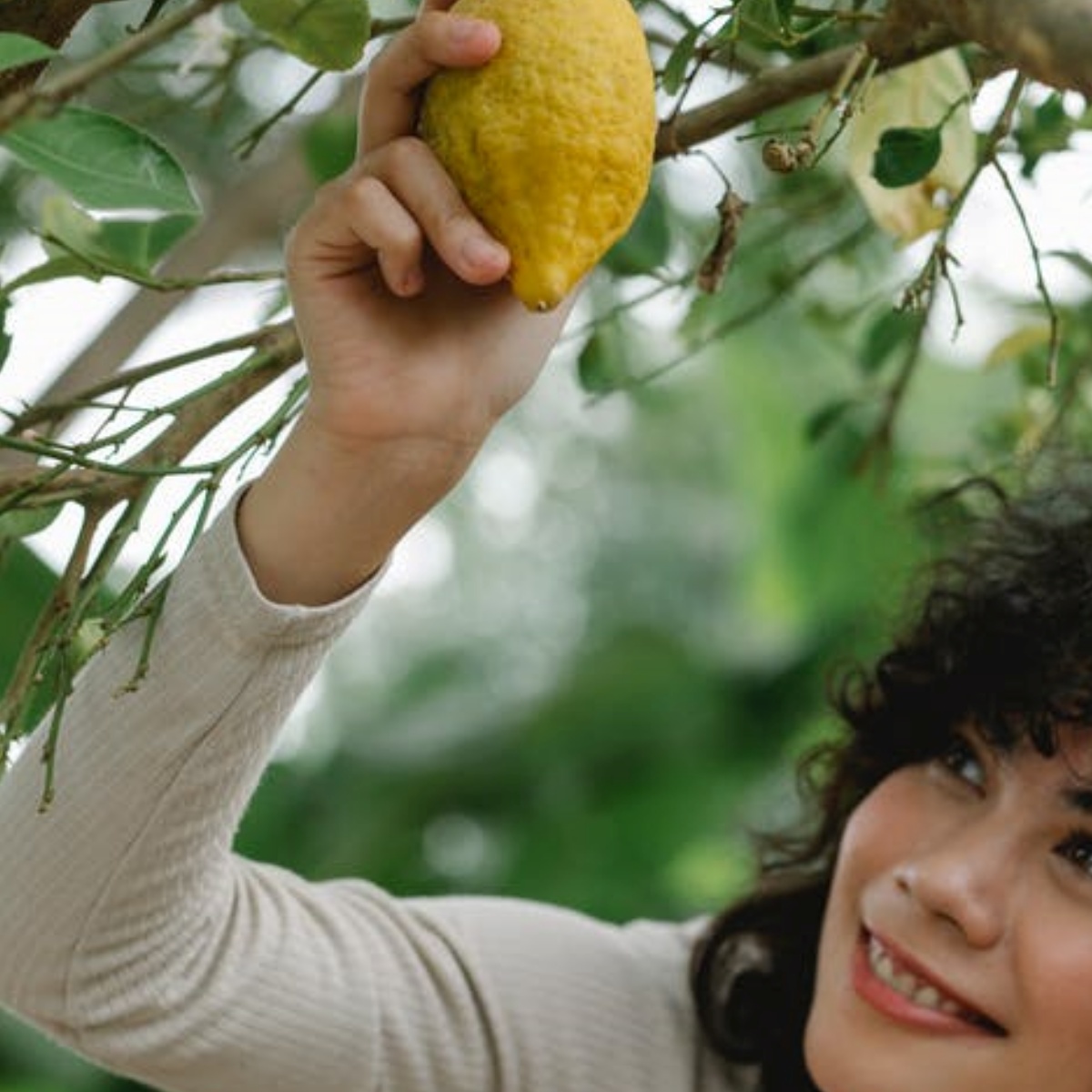 ragazza che coglie un limone