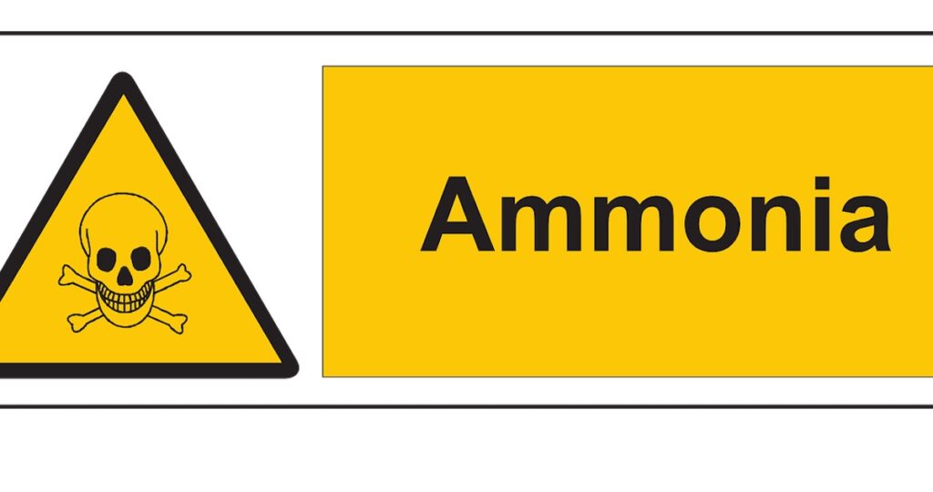 Ammoniaca pericolosa