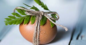 Come riciclare i gusci d’uovo per fertilizzare le piante