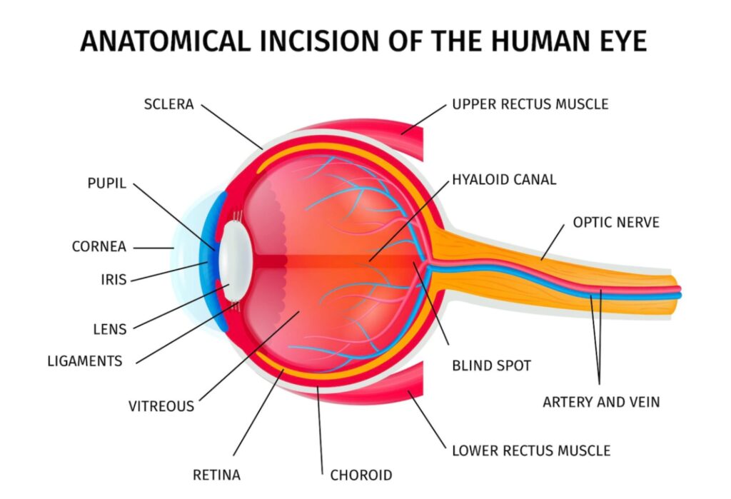 Sintomi del glaucoma