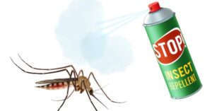Le zanzare stanno tornando: come sbarazzarsene con uno spray fai-da-te