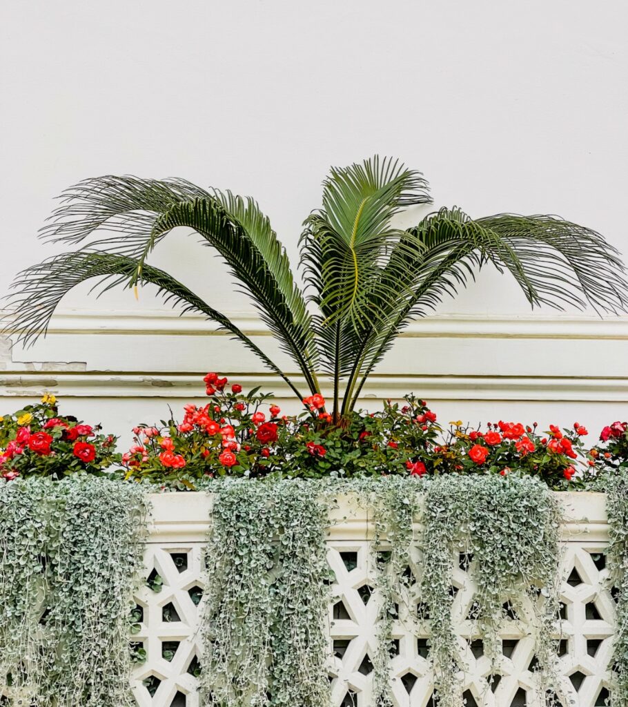 Fiori in balcone