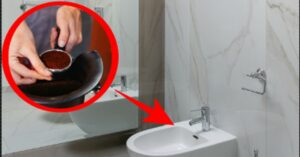 Fondi di caffè nel bidet: perché è un’idea geniale