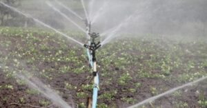 Gli impianti di irrigazione automatici per il balcone o il terrazzo facili da creare