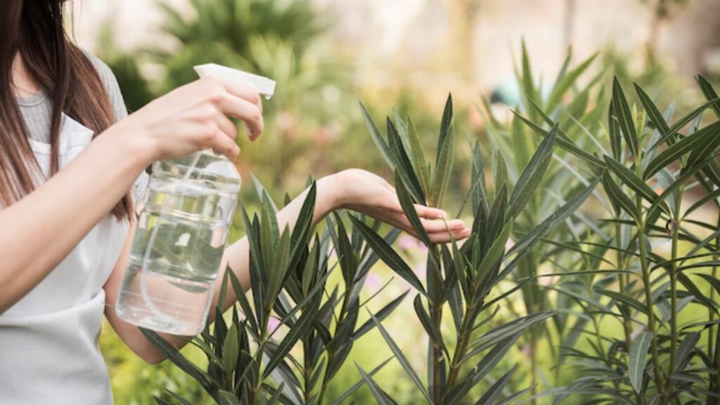 Acqua ossigenata sulle piante