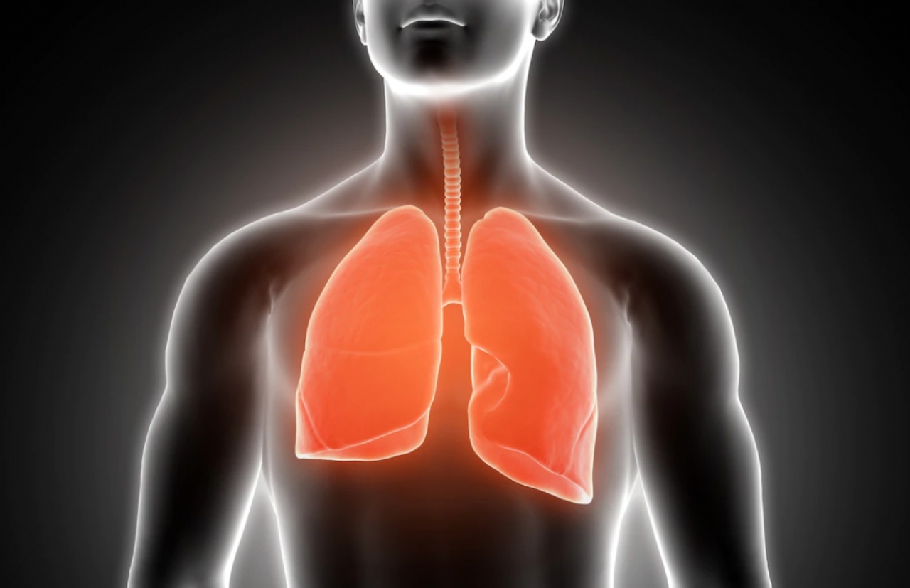 Sintomi e rimedi per la polmonite