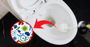 Pulire lo scopino del water è fondamentale per la propria igiene: come farlo nel modo giusto