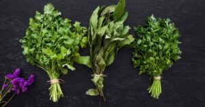 Erbe aromatiche: il trucco per farle seccare in pochissimo tempo