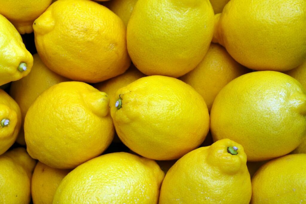 Raccolta di limone
