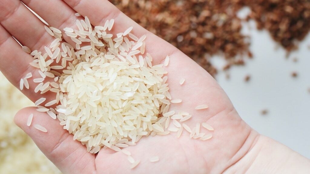 Pugno di riso