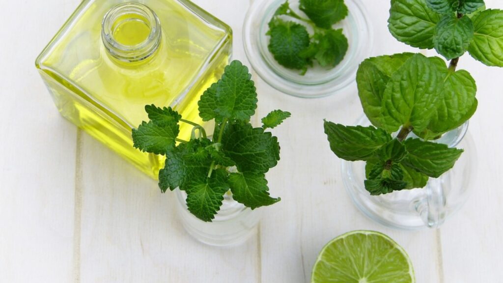 Infuso menta e limone