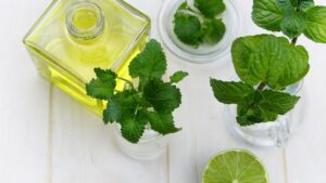 Deodorante per ambiente naturale con menta e limone