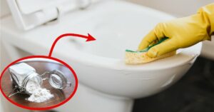 Metti il detersivo in polvere nel WC e osserva il risultato: molto meglio che nel bucato