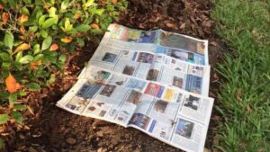 giornali in giardino