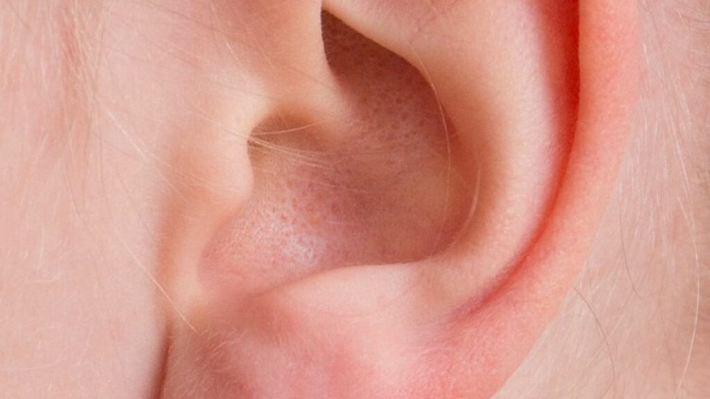 cerume in orecchio