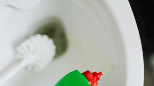 Come pulire le parti più sporche del tuo wc