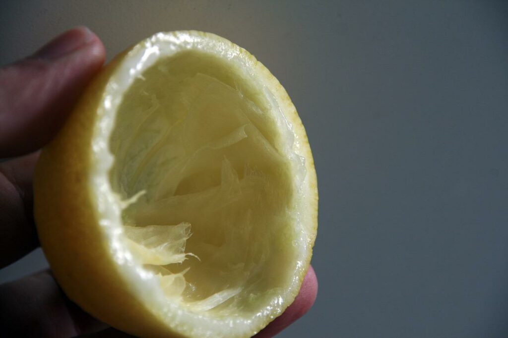 Buccia di limone in primo piano