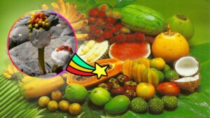 Quale frutta mangiare per andare di corpo regolarmente