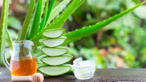 Cinque proprietà dell’aloe vera che non tutti conoscono e che sono efficaci per il benessere della persona