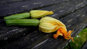 3 diverse ricette per preparare la pastella per fiori di zucca