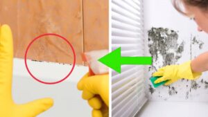 Soluzioni ecologiche per togliere la muffa dai mobili della cucina e del bagno