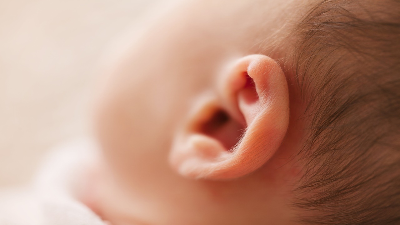 orecchio di un bambino