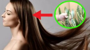 Il ricostituente per la crescita dei capelli più efficace e naturale è la sansevieria: cos’è e i suoi benefici