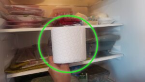 Metti la CARTA IGIENICA nel FRIGORIFERO se vuoi risolvere un problema comune