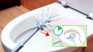 Questo è il modo giusto per pulire lo scopino del bagno: ti sbarazzerai di germi e batteri
