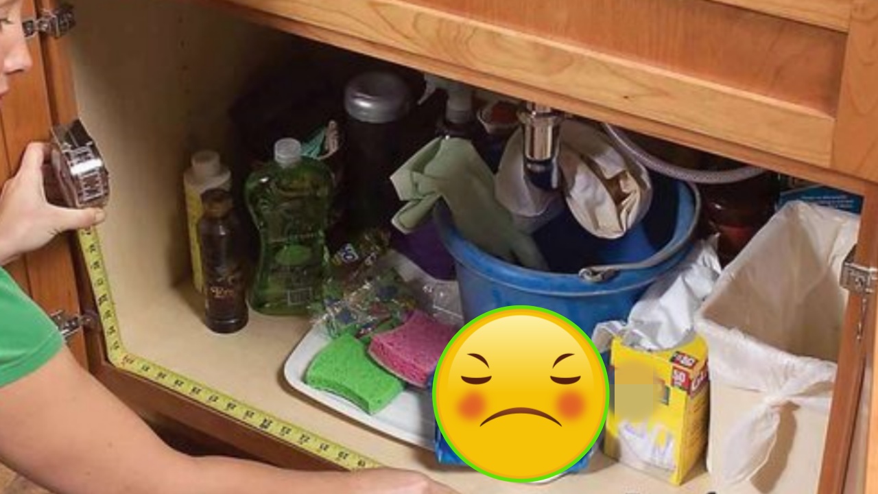 oggetti sotto lavello cucina