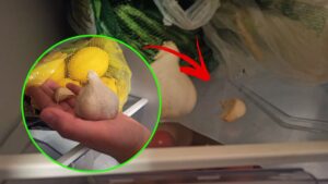 Conserva gli spicchi d’aglio in frigorifero: ti sveliamo perché