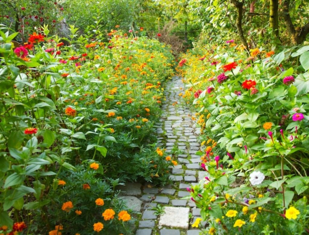 Usas vinagre en el jardín.