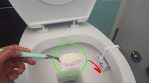 Per eliminare il CALCARE dal wc ti basta 1 cucchiaio di FARINA: tutto quello che devi fare
