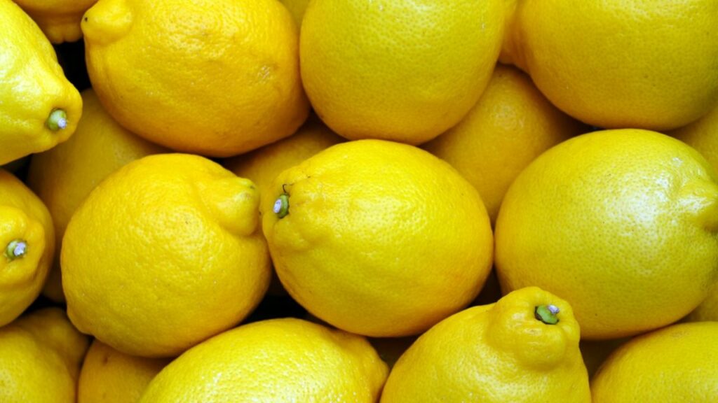 limone per piante
