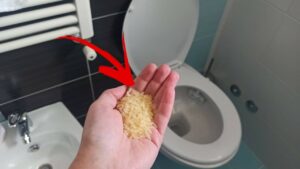 Come eliminare l’umidità e i cattivi odori dal bagno con un pugno di riso: un metodo facile ed efficace